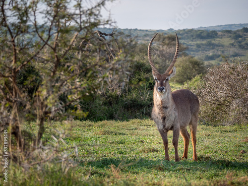Konstfotografi Eastern Cape