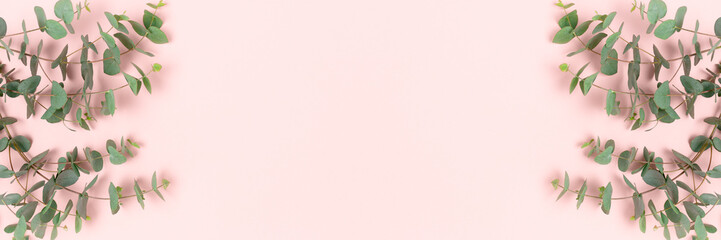 Frame made of eucalyptus branches on a pink pastel background. Banner template with place for text.