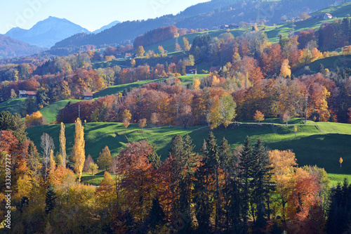 Herbstlandschaft bei Altendorf Lachen  Kanton Schwyz