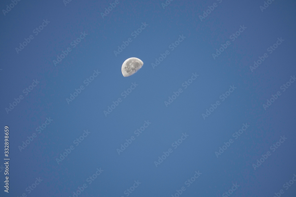 Moon Moon