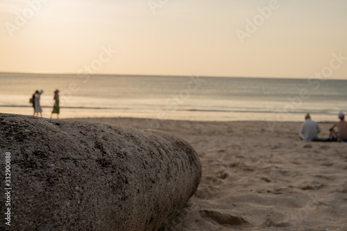 Driftwood on the beach