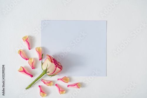 Creative layout made with rose petals and flower. Minimal nature background. Spring flowers concept.