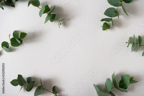 Creative layout made with green leaves on bright background. Minimal nature love idea. Spring flowers concept.
