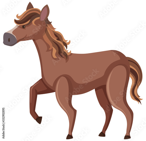 Brown horse on white background