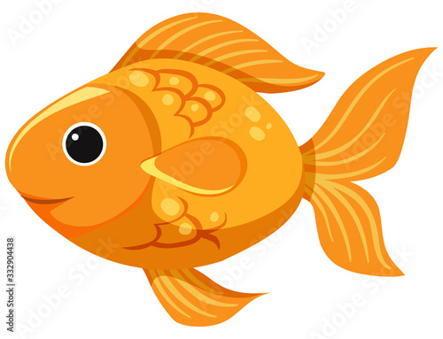 Cute goldfish on white background