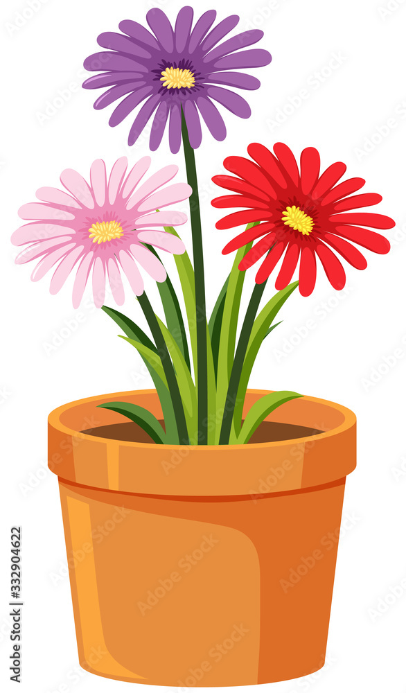 Pot of colorful flowers on white background Pot of colorful flowers on white background