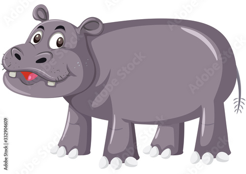 Cute hippo on white background