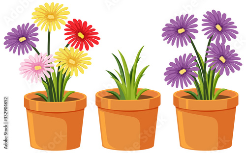Three clay pots with beautiful flowers on white background
