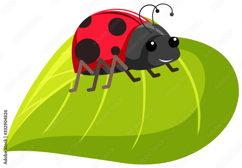 Obraz premium One ladybug on green leaf on white background