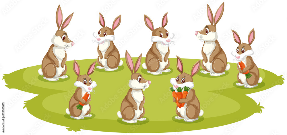 Many rabbits on the green grass Many rabbits on the green grass