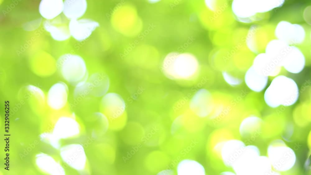 Abstract green bokeh background. Blurred green bokeh background. Abstract green bokeh background. Blurred green bokeh background.