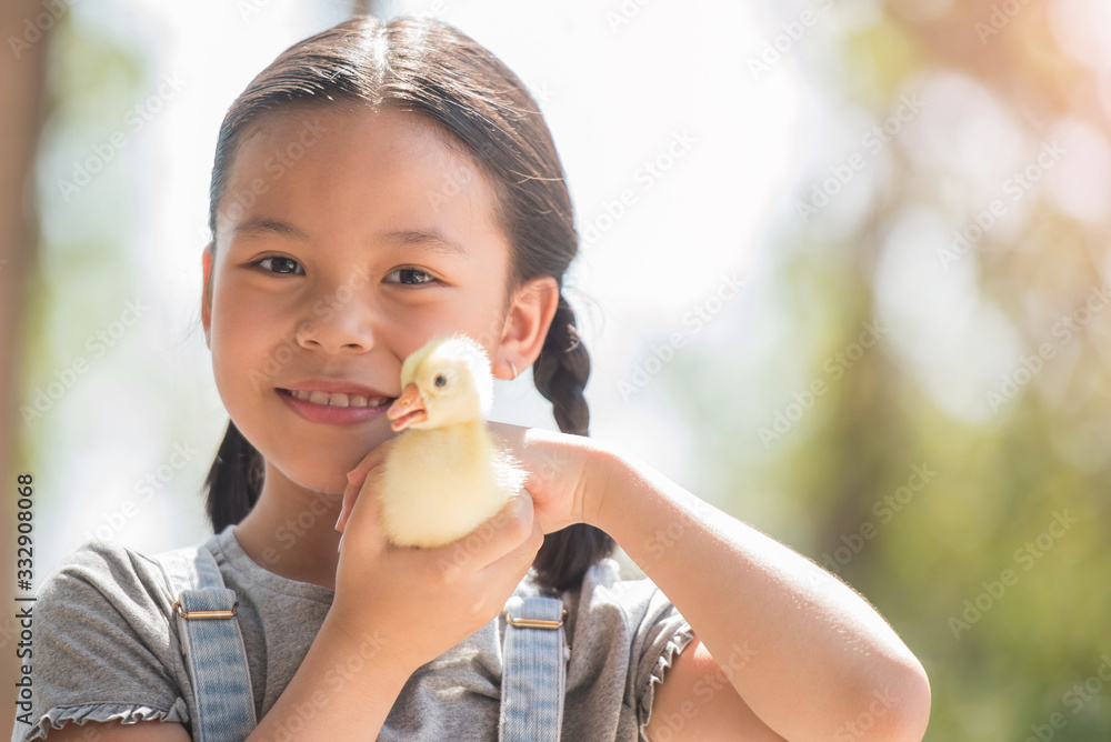 happy little girl with of small ducklings sitting outdoor. portrait of an adorable little girl, preschool or school age, happy child holding a fluffy baby gosling with both hands and smiling.. happy little girl with of small ducklings sitting outdoor. portrait of an adorable little girl, preschool or school age, happy child holding a fluffy baby gosling with both hands and smiling..