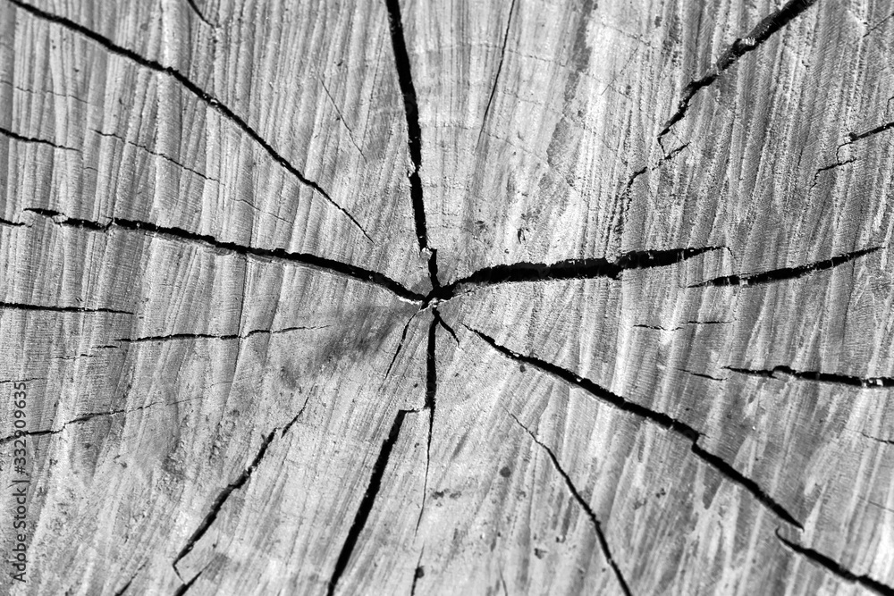 Circular wooden log pattern with cracks Circular wooden log pattern with cracks