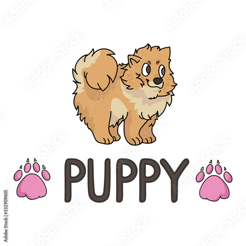 Cute cartoon pomeranian puppy with text word and paw print vector clipart. Pedigree kennel doggie breed for dog lovers. Purebred dog for pet partlor illustration. Isolated spitz hound. EPS 10. 