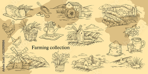 Vector set of farming illustrations in engraving vintage style for labels, logos, prints, natural products polygraphy, menu, wine labels, etc.
