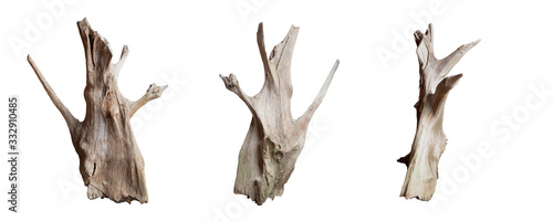 Isolate of beautiful timber set use for decorating in the aquarium on white background with clipping path.