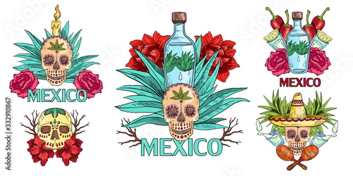 Vector hand drawn set with Mexican symbols with tequila bottle, skull, agave, sombrero, maracas, roses and candle. Concept for greeting cards, tattoo, souvenirs, prints and posters.