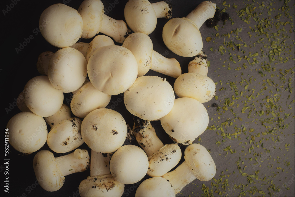 Group of champignon on slate table base Group of champignon on slate table base