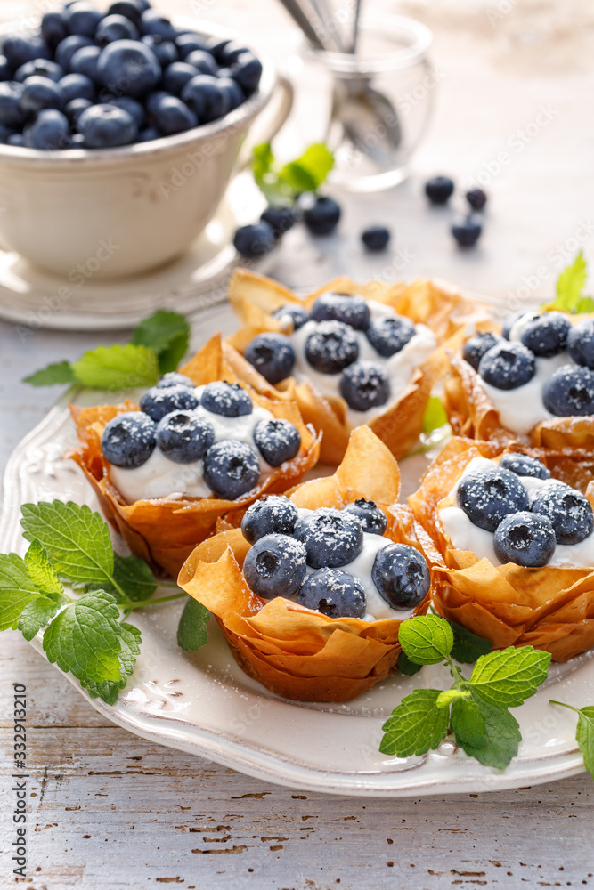 Phyllo cups with Mascarpone cheese filling topped with fresh blueberries sprinkled with powder sugar on a white plate close up. Delicious filo pastry dessert Phyllo cups with Mascarpone cheese filling topped with fresh blueberries sprinkled with powder sugar on a white plate close up. Delicious filo pastry dessert