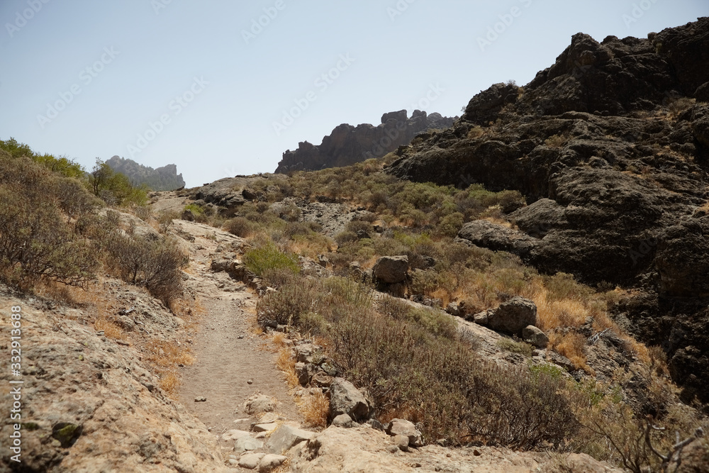 Fototapeta premium Trekking