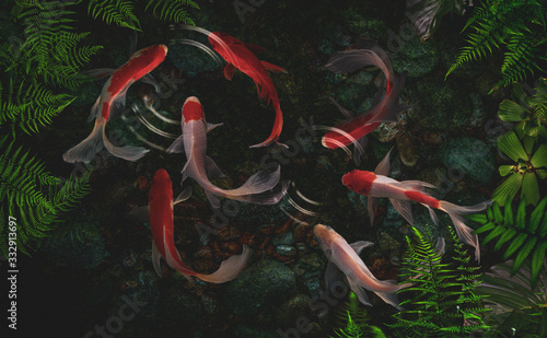 Koi fish swim artificial ponds with a beautiful background of green plants