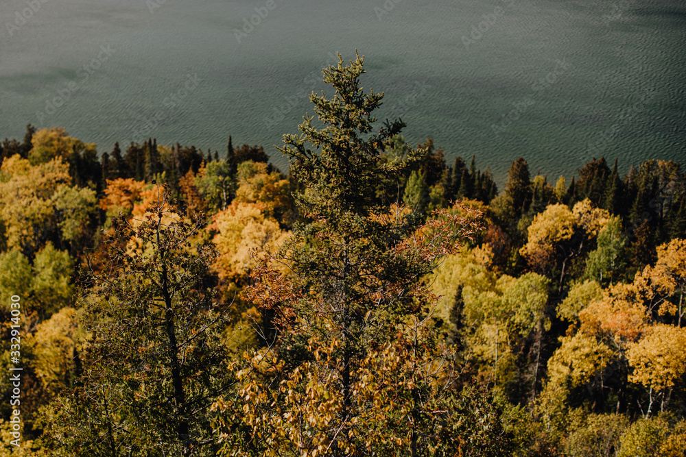 Vue d'une forêt aux couleurs d'automne au bord du lac ontario