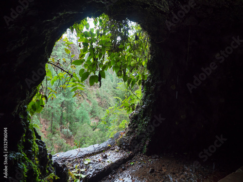 View from dark water duct tunnel through running water to lush jungle at hiking trail Los Tilos at mysterious laurel forest. Beautiful nature reserve on La Palma, Canary islands, Spain