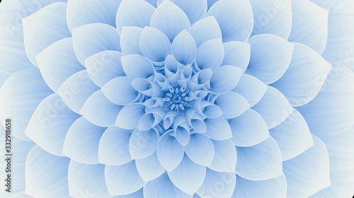 Blooming Blue Flower. Seamless Looped. 4K. Ultra High Definition. 3840x2160.