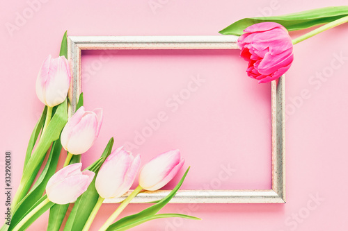 Golden frame with pink tulips on pink background. Mockup. Top view, copy space. © Laima Gri