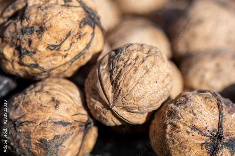 walnuts on the stone close up macro detail walnuts on the stone close up macro detail