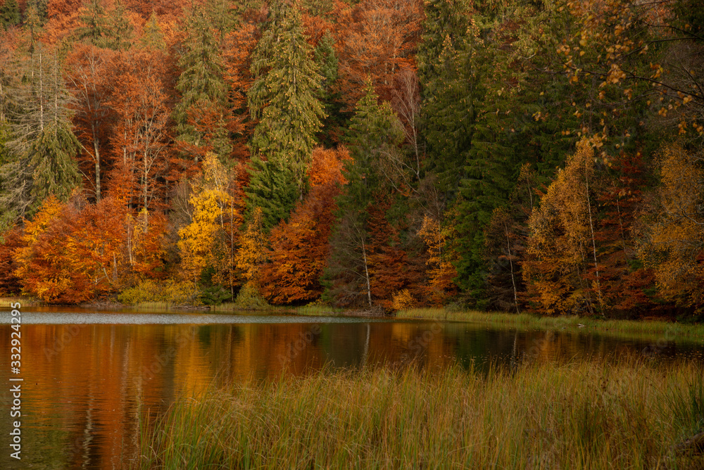Autumn forest reflecting on the water of a calm lake Autumn forest reflecting on the water of a calm lake