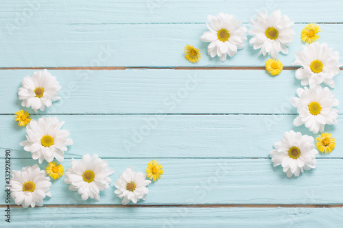 white chrysanthemum and yellow coltsfoot on blue wooden backgrou © Siarhei