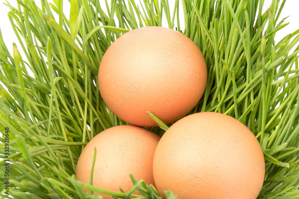 Brown eggs on green grass, isolated on white background. Brown eggs on green grass, isolated on white background.