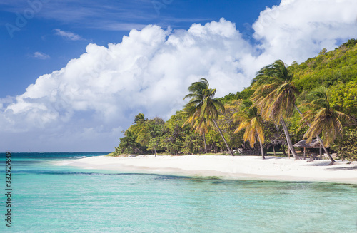 Exotic tropical beach with palm trees and white sand, Caribbean Petit Saint Vincent Island 