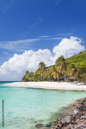 Exotic tropical beach with palm trees and white sand, Caribbean Petit Saint Vincent Island 