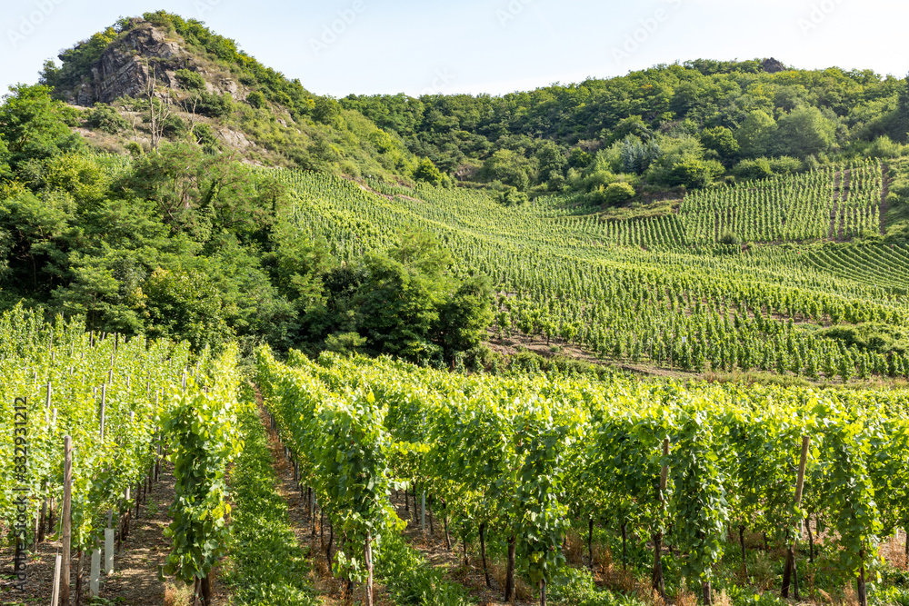 Vineyards of the Ahr Valley