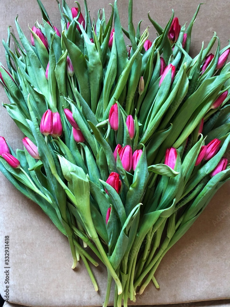 Bouquet of beautiful pink tulips for a holiday Bouquet of beautiful pink tulips for a holiday