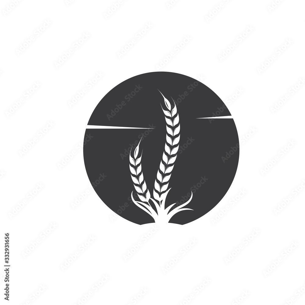 Agriculture wheat vector icon illustration design Agriculture wheat vector icon illustration design