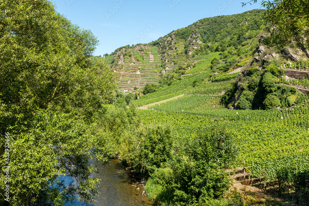 Vineyards of the Ahr Valley
