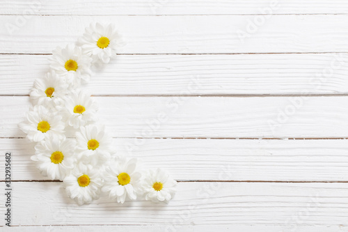 white chrysanthemum on white wooden background © Maya Kruchancova