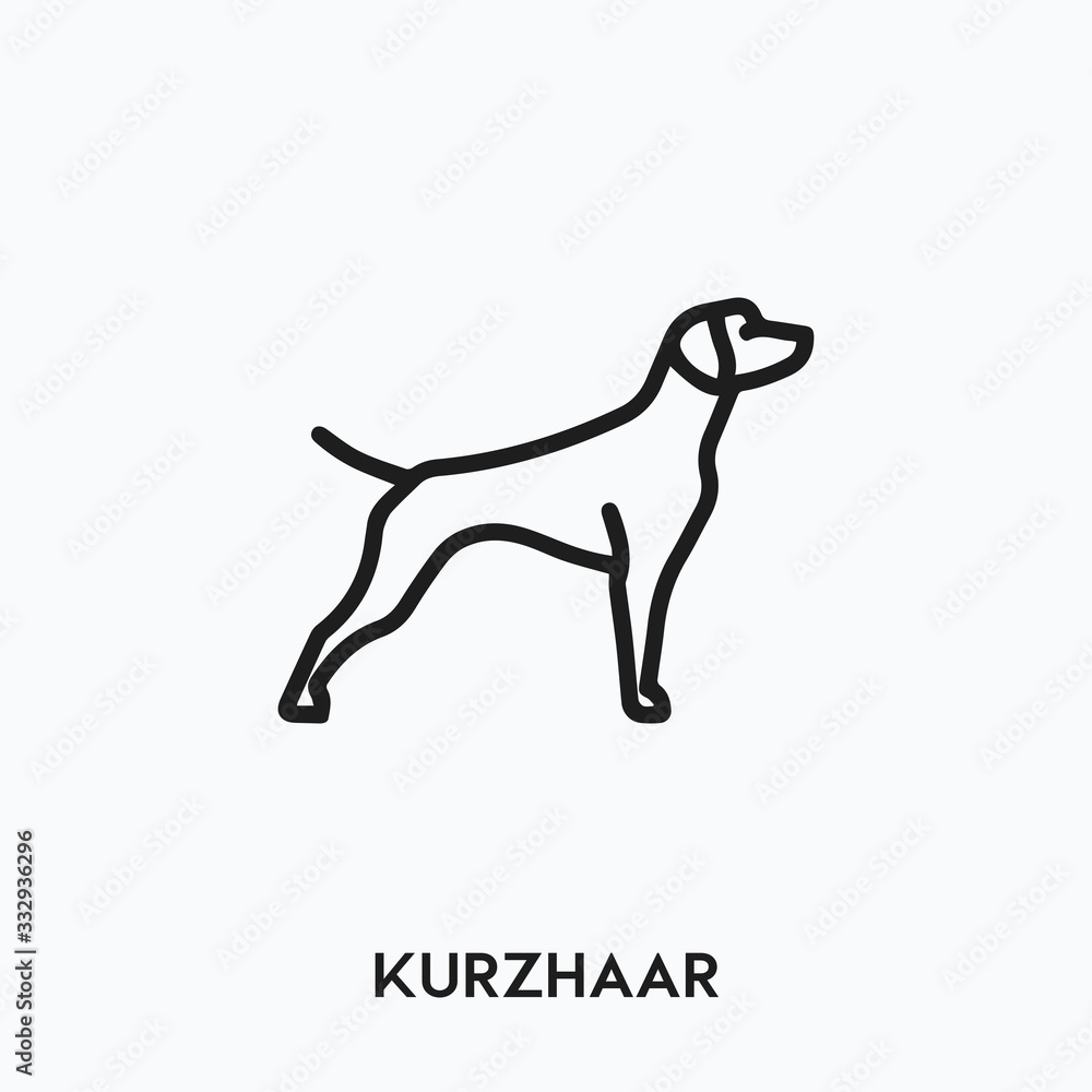 kurzhaar icon vector. kurzhaar symbol sign