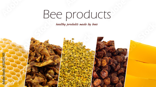 A variety of bee products. Honey, pollen, propolis, bee bread, wax. Apitherapy. Healthy products made by bees. photo