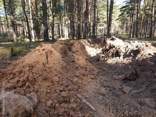 Wallpaper Mural Fire trench in the forest. Trench in the forest. Protecting the forest from fire. Torontodigital.ca