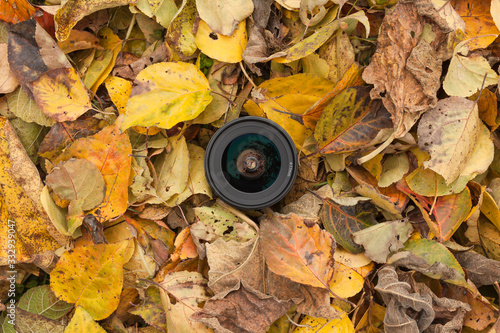 A camera lens over a colored leaves background in autumn