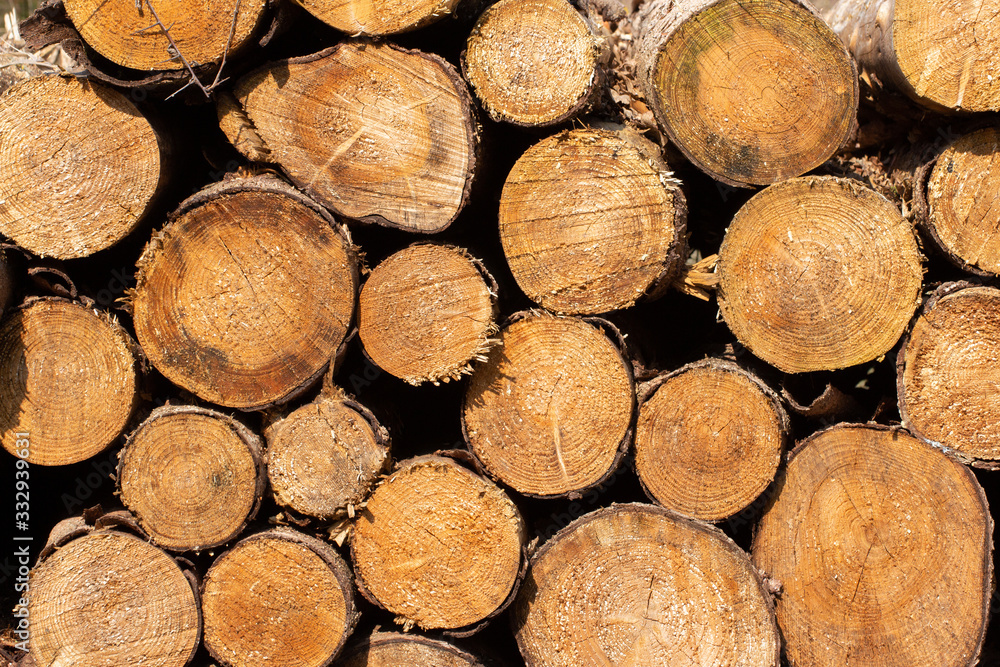 Stacked tree trunks pattern for background Stacked tree trunks pattern for background