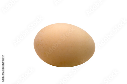  chicken one egg cream color on a white background