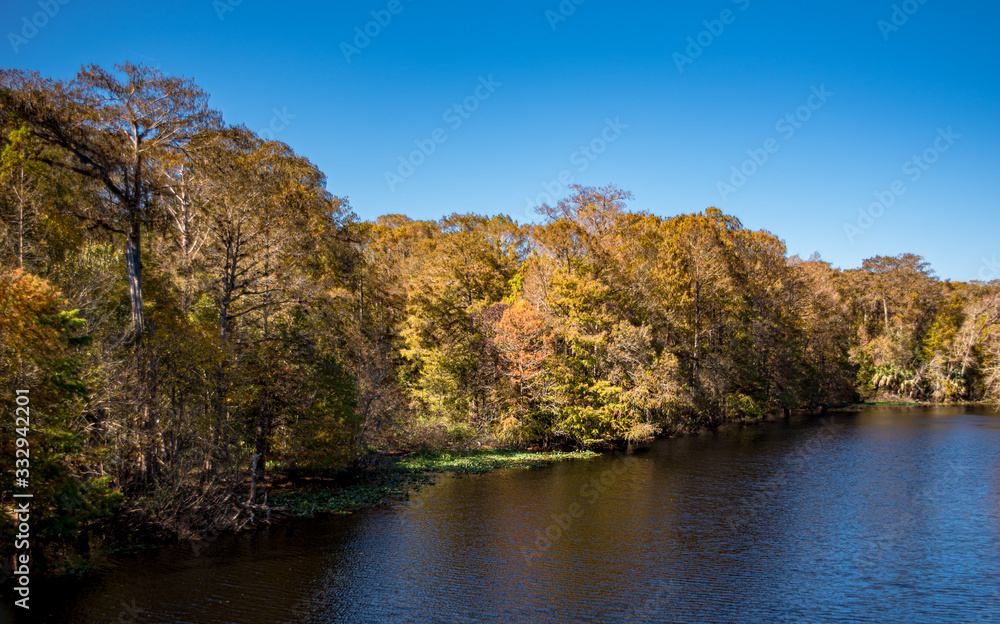 autumn in the park autumn in the park