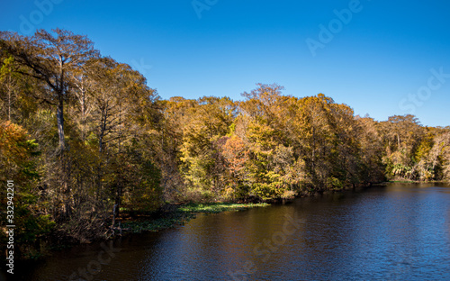 autumn in the park