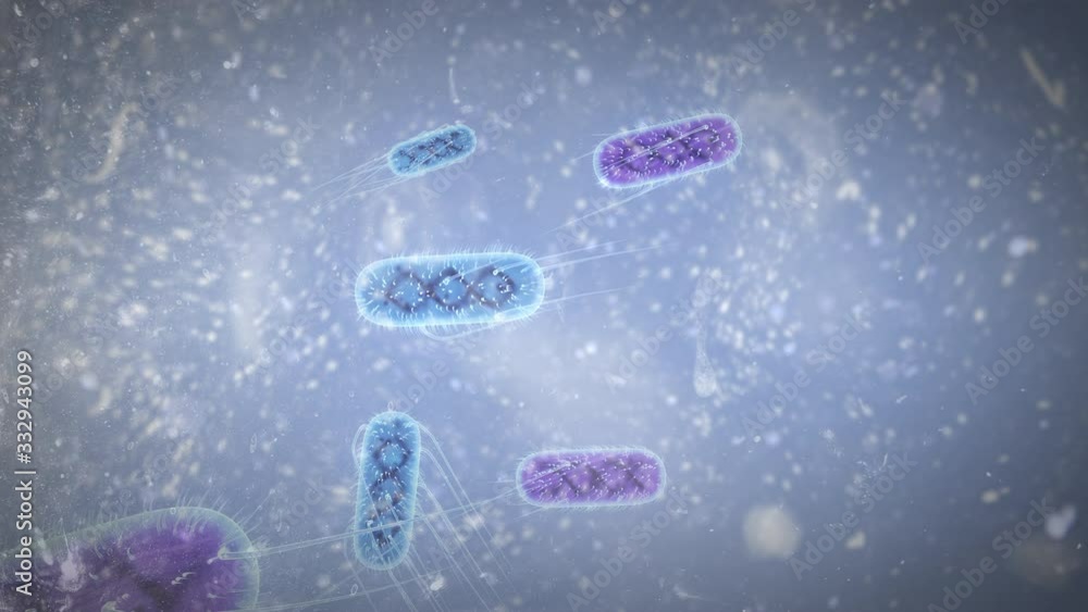 Corona/Covid19 virus 3d animation concept. E.Coli Bacteria cell close up microscope blood cell, virus cell 4K background. Corona/Covid19 virus 3d animation concept. E.Coli Bacteria cell close up microscope blood cell, virus cell 4K background.