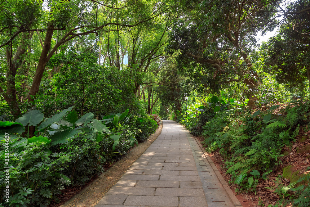 Stone Pathway in the Green Park